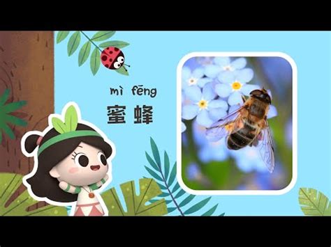 蜜蜂象徵意義|蜜蜂的象徵意義